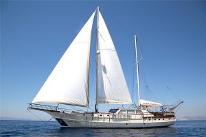 Crewed Yacht charter Gulet Aegean Schatz