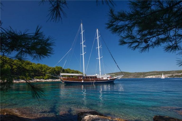 Stella Maris