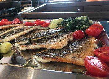yacht charter Avocado fish