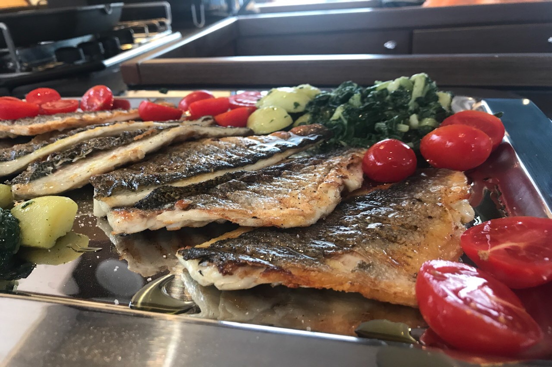 yacht charter Avocado fish