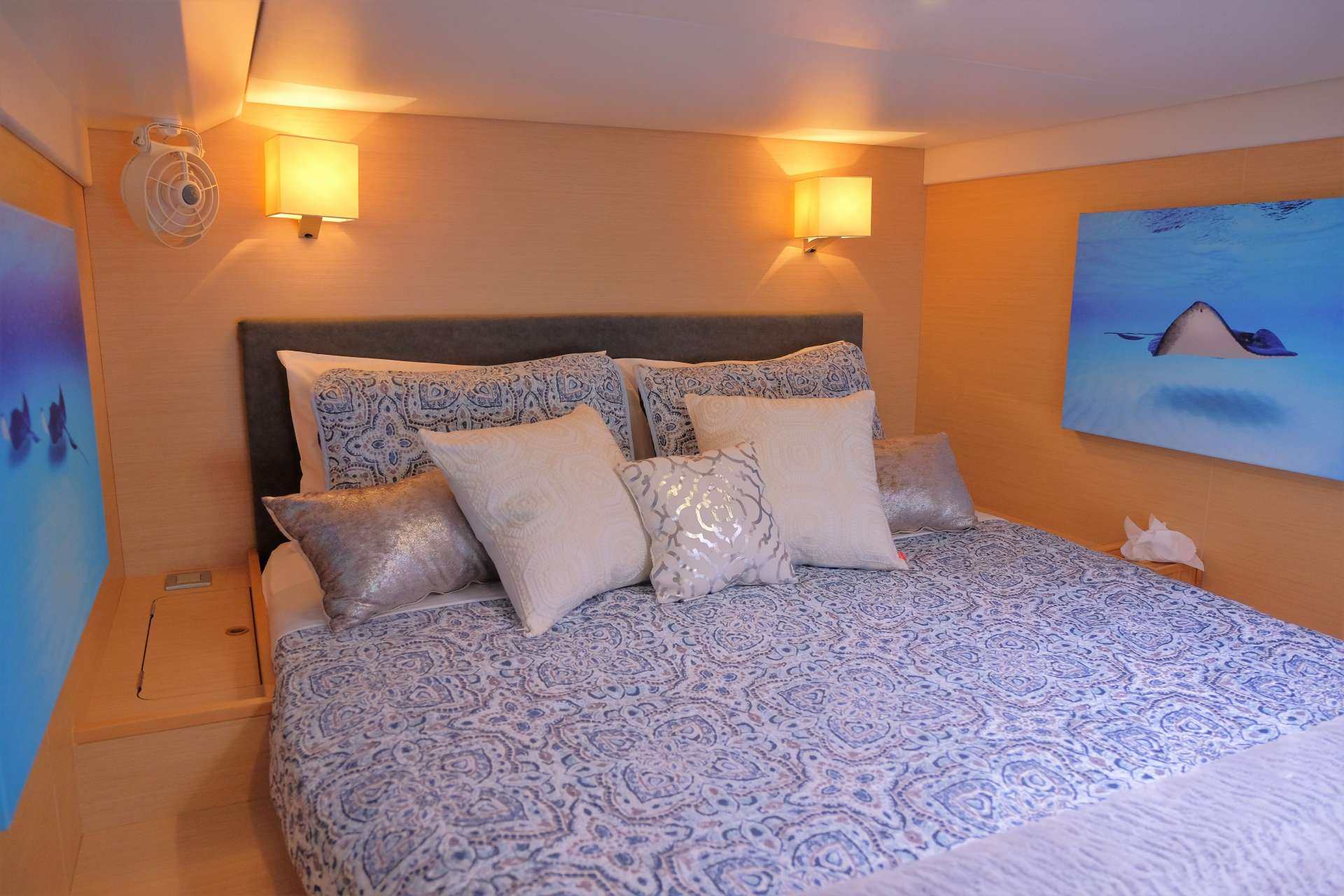 yacht charter Foxy Lady cabin