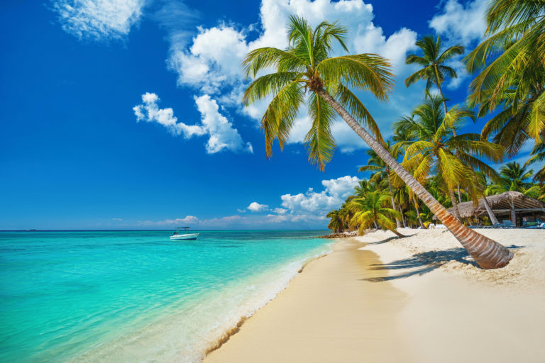 Tropical beach in Punta Cana, Dominican Republic. Caribbean island.