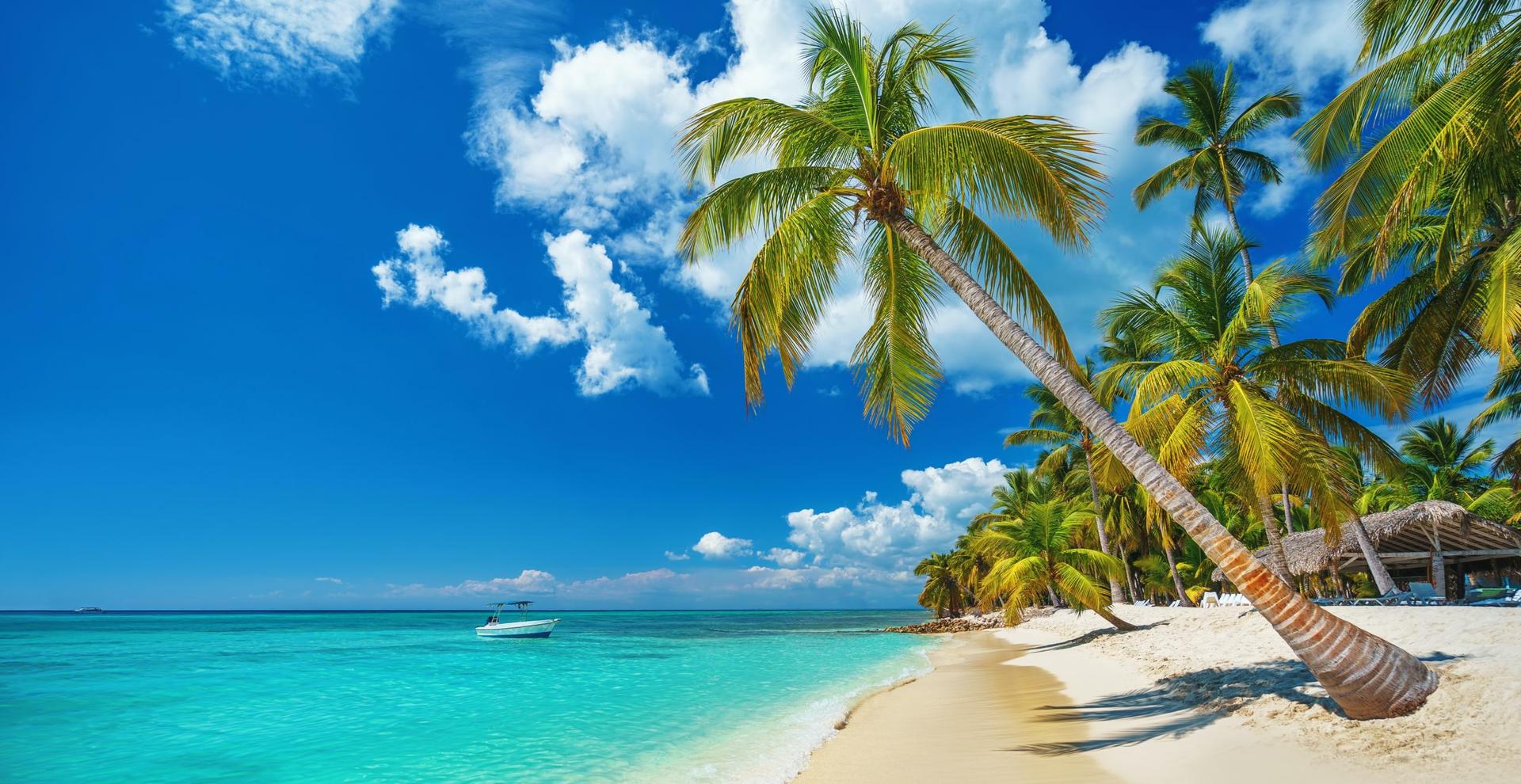 Tropical beach in Punta Cana, Dominican Republic