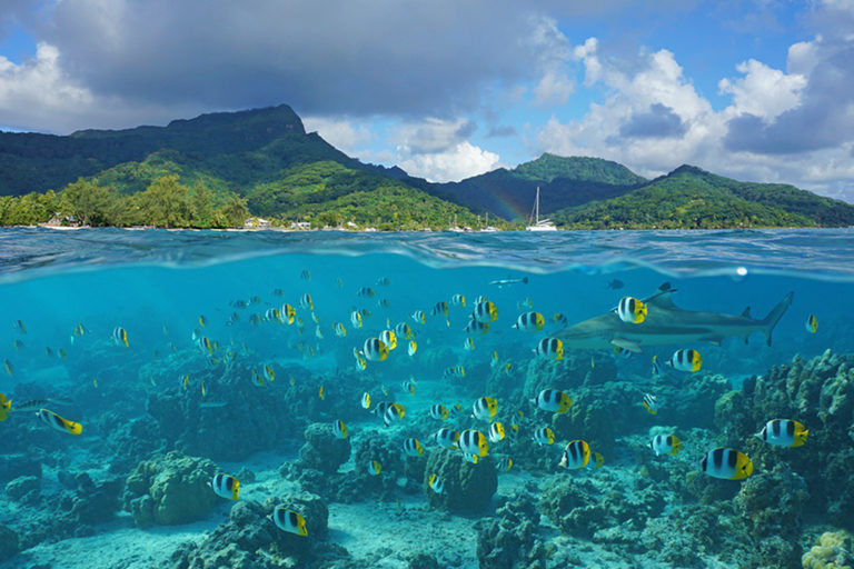 Huahine French Polynesia 1