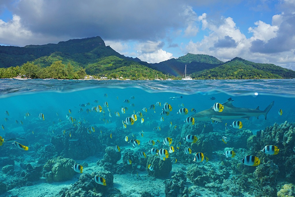 French Polynesia is an extraordinary place to sail