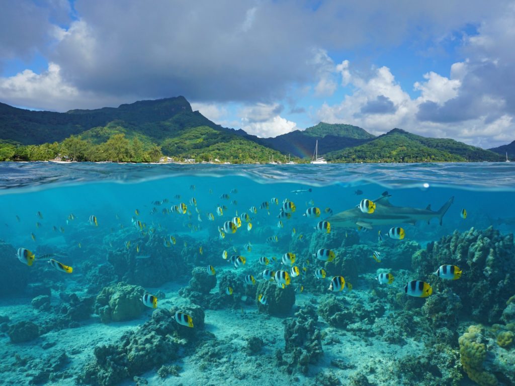 Destination highlights French Polynesia, Huahine Tahaa - High Point Yachting