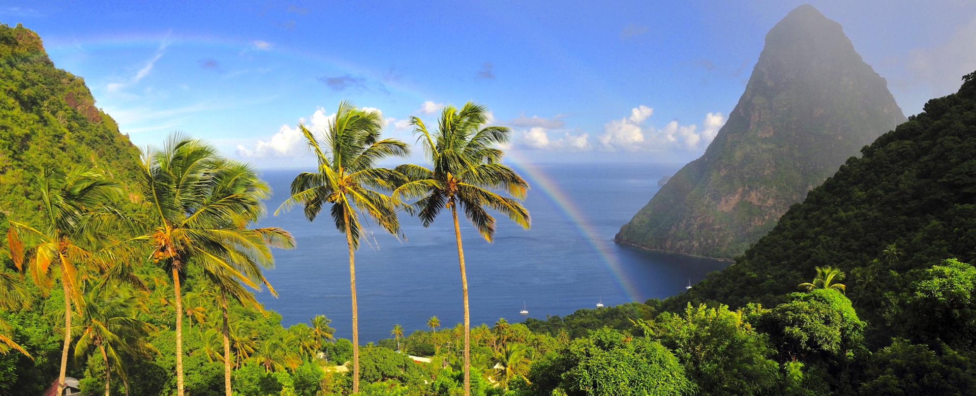 St. Lucia Piton