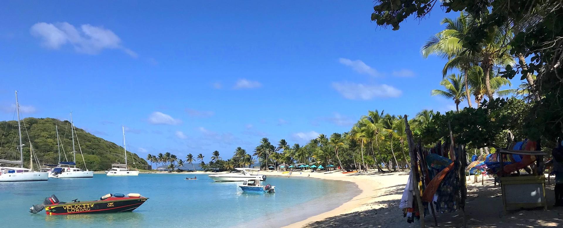 Salt Whistle Bay Tobago Cays