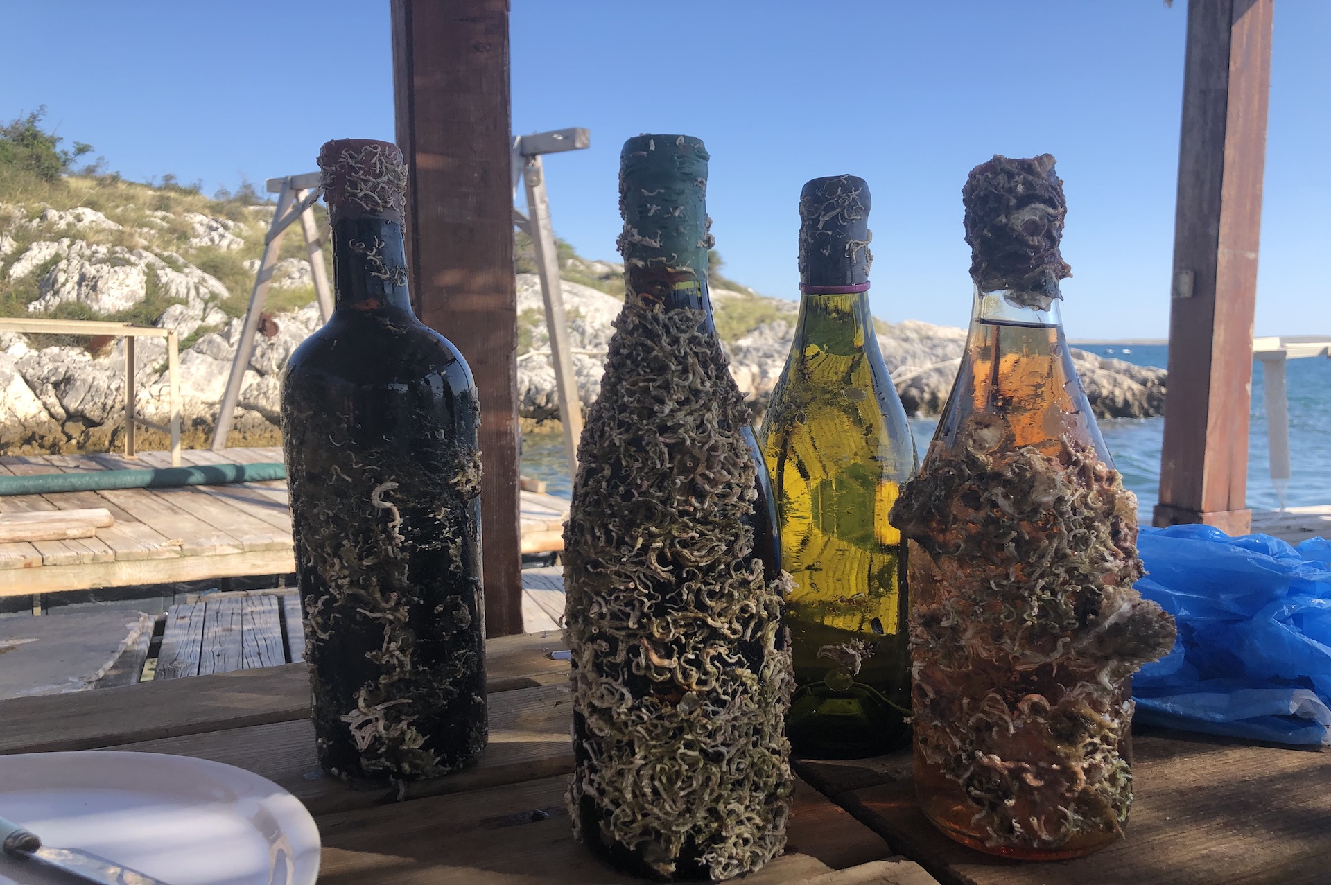 bottles Coral Wine