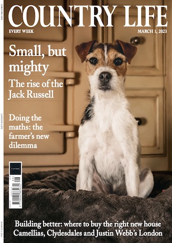 CountryLifeCover