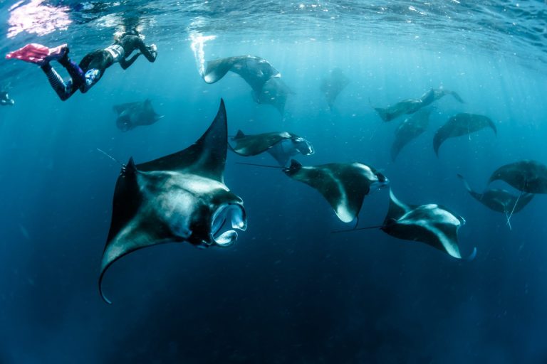 Indonesia Raja Ampat