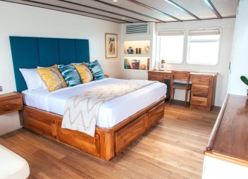 yacht charter Rascal guest cabin